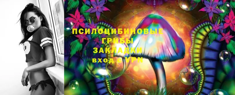 Галлюциногенные грибы Magic Shrooms  Азов 